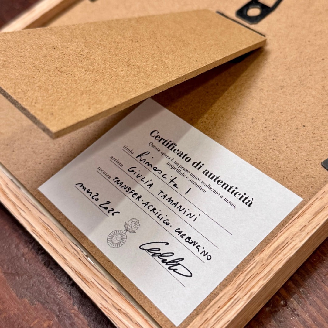 Retro della cornice con certificato di autenticità rinascita I