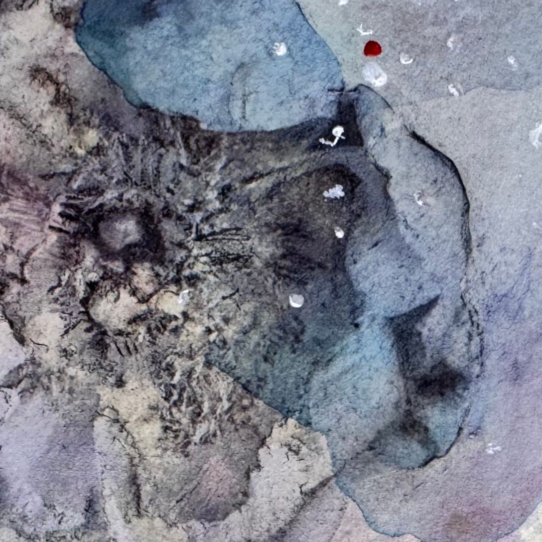 dettaglio - Rinscita V