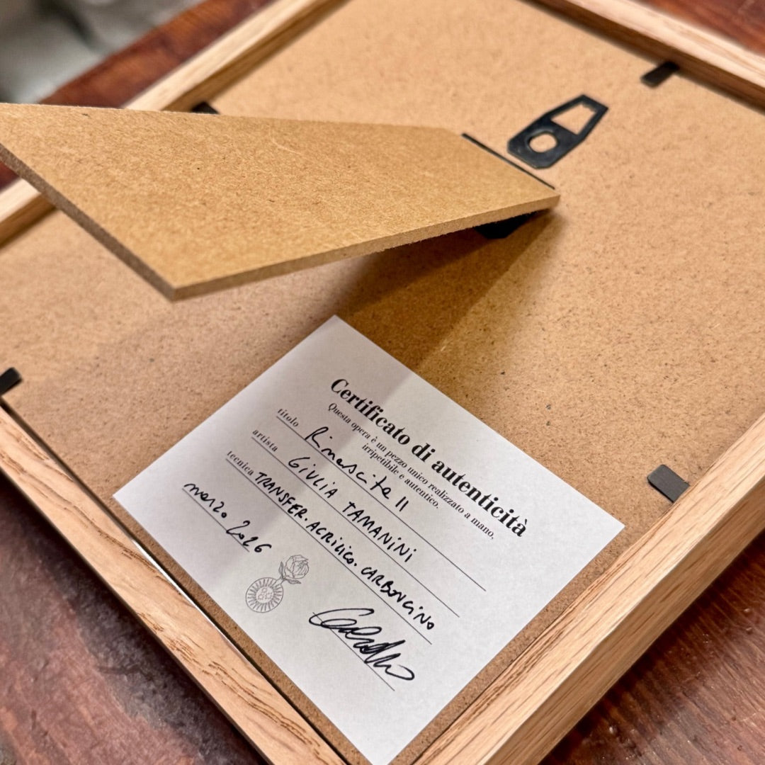 Retro della cornice con certificato di autenticità rinascita II