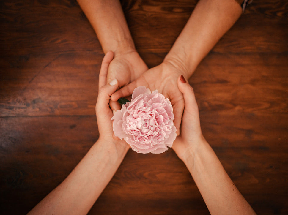 dettaglio delle mani di Claudia, Giulia e Fiorenza mentre tengono un fiore di peonia, simbolo del loro logo.
