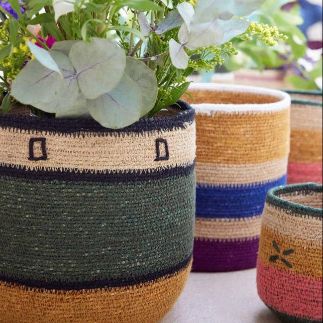 selezione di cesti in fibra vegetale